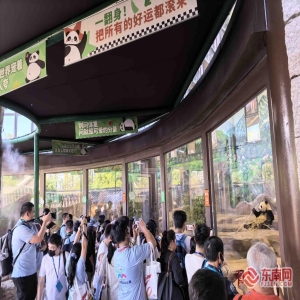 两岸青年72小时AI视频赛 福州极限创作碰撞创意火花