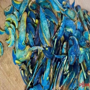 误食野生菌中毒频发，云南毒菌超200种，警惕见手青