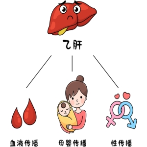 病毒性肝炎有五种，传播途径各不同，防护重点要知道