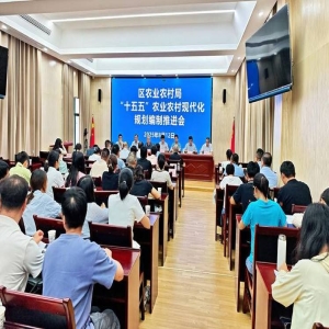 福建十五五农业规划发布，明确六大任务促乡村振兴