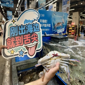 福州人惦记的东海第一鲜梭子蟹上市了，快去超市抢鲜