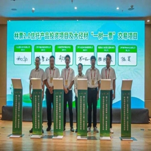 国有林场一树一票林票2.0交易 杉木大径材精准量化变