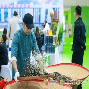 福州茉莉花茶文化节9月开幕，国家级产业集群首亮相
