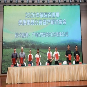 百香果种植户如何稳赚钱？武平产业链产销对接秘籍