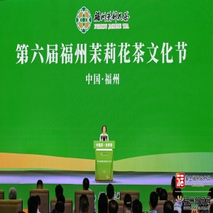 福州茉莉花茶节开幕，茶商茶农如何抓住商机？