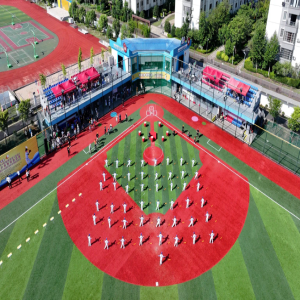 闽台棒垒球联动学校推进会 高规格背后有何深意