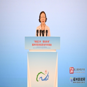 福州投资对接会厦门举行，政企携手共拓商机
