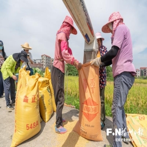 福州农业丰收：上半年产值居全省首位，粮食稳定增产
