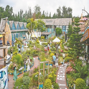平潭反向旅游攻略：花田艺术打卡，慢游更松弛
