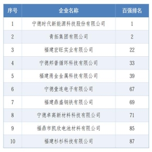 2026福建民企百强出炉，宁德时代大东海前三