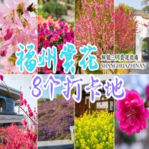 福州哪里赏桂花？2026最新花期及乌山、西湖打卡攻略