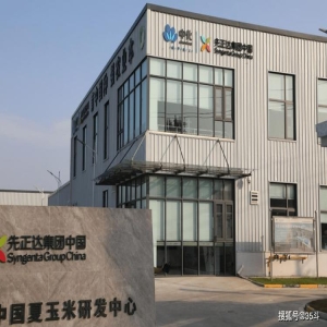 新疆昌吉玉米种业：先正达技术赋能，公司农户共赢