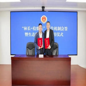 福建碳汇入选国家级典型案例！龙岩三明南平经验，如何变