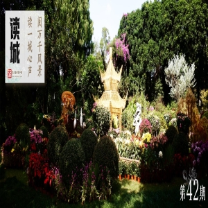 2026福州菊花展攻略：10月28日西湖启幕，赏花看