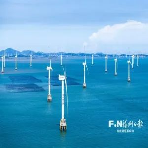 福州产业升级：怎么把含绿量变成含金量？