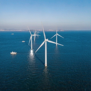 福建海上风电：兴化湾那片风场怎么把装备做到本地造