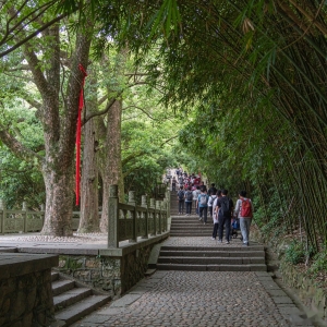 福州鼓岭最新通知：进入鼓山要预约！