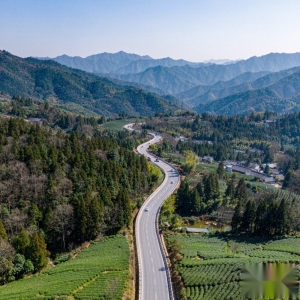 武夷山1号风景道自驾：路线、点位与本地体验安排
