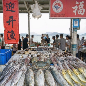 东海开渔 福建人的海鲜自由从九月十六这天开始