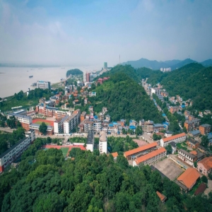 “萧下村”的全产业链实践