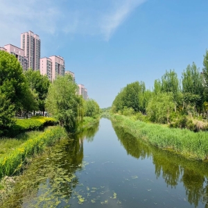 生态环境保护督察移交问题追责问责倒逼职能