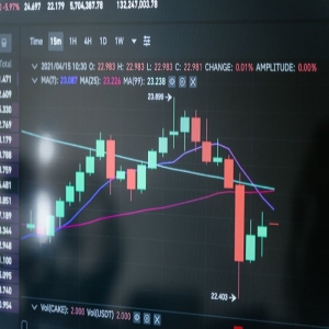 韦德布什证券公司的多头分析师：美国股市正