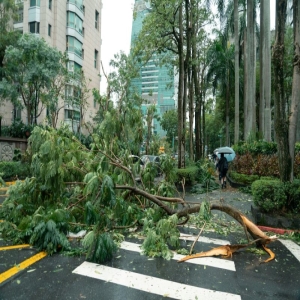最大可达超强台风！“卡努”来势汹汹！福州