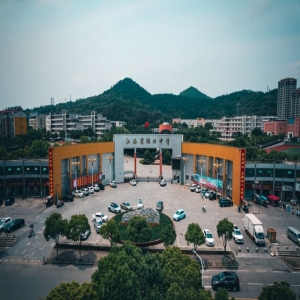 江西省监委对应勇严重违纪违法问题进行立案