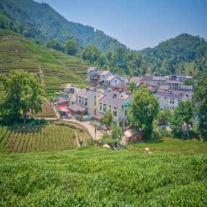 福州已设立爱心茶摊1289个