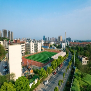 北京朝阳区关于2023年义务教育阶段入学