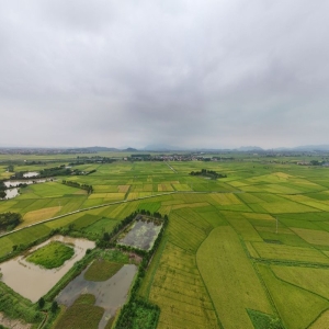全面落实耕地保护和粮食安全党政同责牢牢守住耕地红线