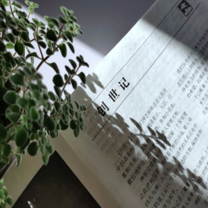 江苏部分苏南群众在人民网“领导留言板”收到留言