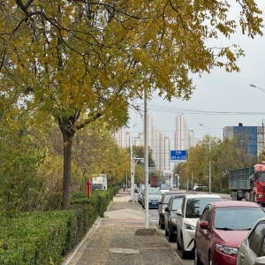 北京公交专用道第二批优化调整取消二环路主
