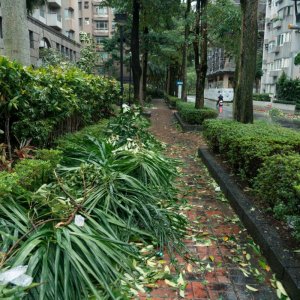 科学应对精准布防全力打好台风防御主动仗讲话