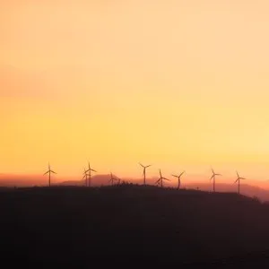福州观察｜从零到全球第一：福建新能源汽车产业如何跑出