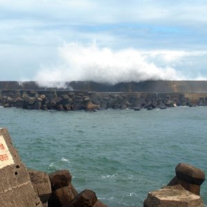 上海街道召开防御台风“苏拉”“海葵”调度部署会