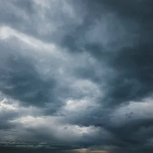 福州暴雨考验下的“筷子豪情”：本地餐饮标杆再显韧性
