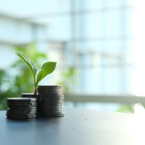 证监会健全上市公司常态化分红机制提高投资者回报水平