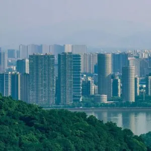 福州养犬新规落地在即：犬证申领须先完成狂