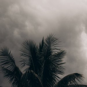 我国有大范围雨雪天气影响最重区域分布中东部