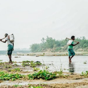 2023年自然资源系统扎实做好耕地要素保障民生有力有效